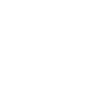 Pink Fish web developer