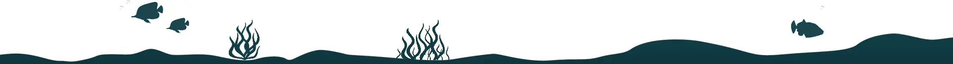 Seabed footer graphic