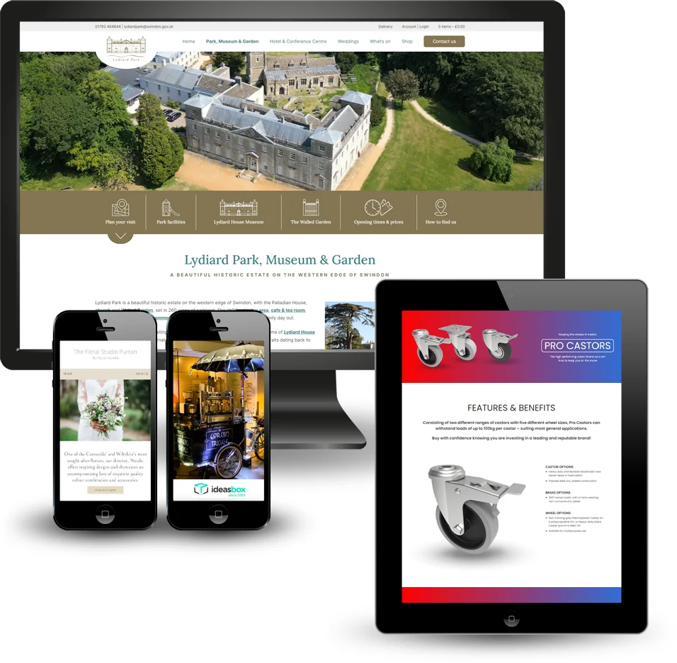 Web design and development services